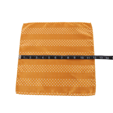 Crush - Orange Handkerchief with Dotted Stripe