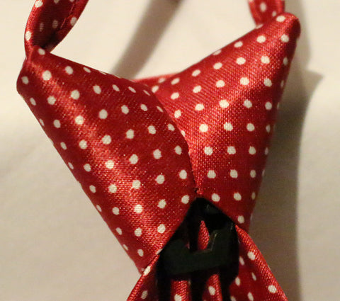 Red Dotted Kids Zipper Tie with Small White Dots