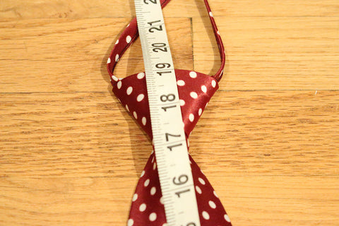 Red Dotted Zipper Tie with White Dots